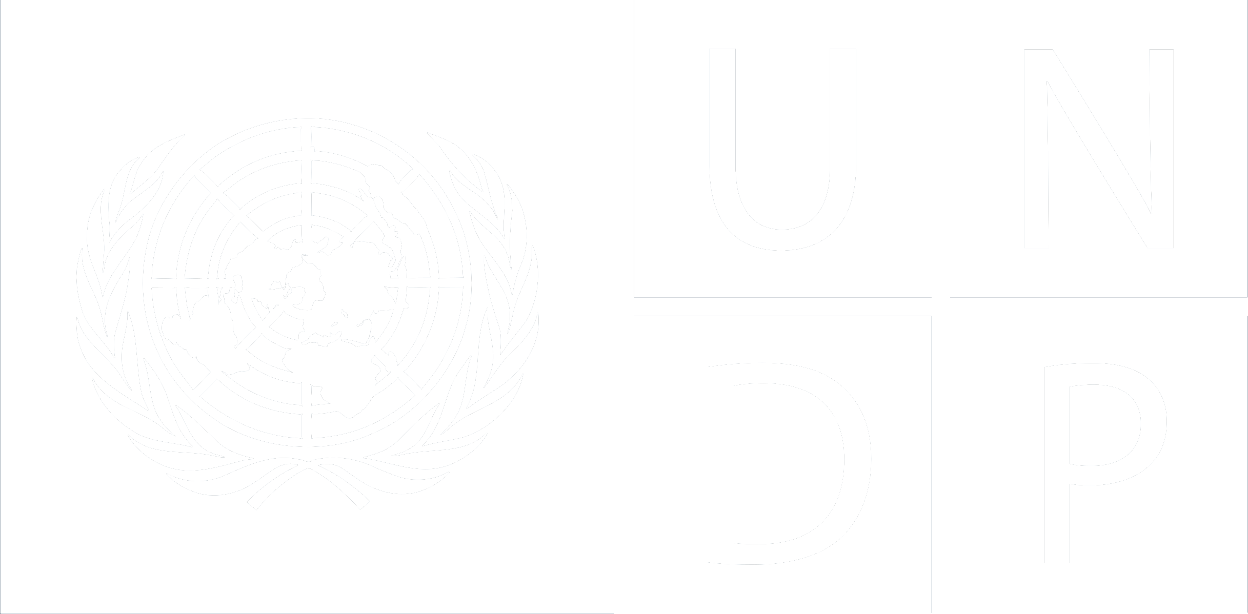 UNdp-logo-w